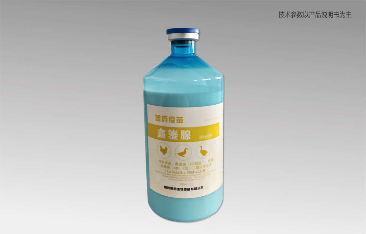 u³УH9ͣٲIȺ4ͣ(lin)磨La Sota꣫F6꣫LC꣩