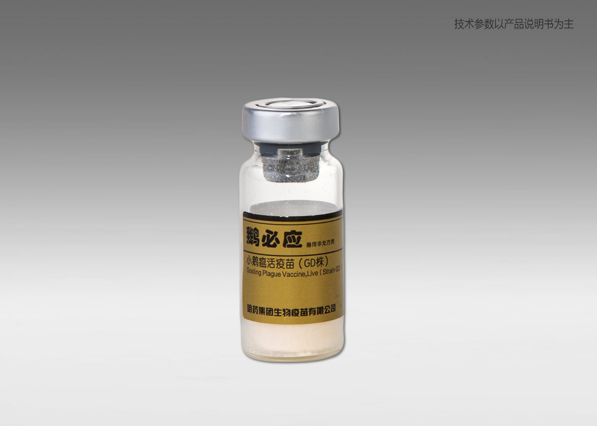 СZ磨GD꣩