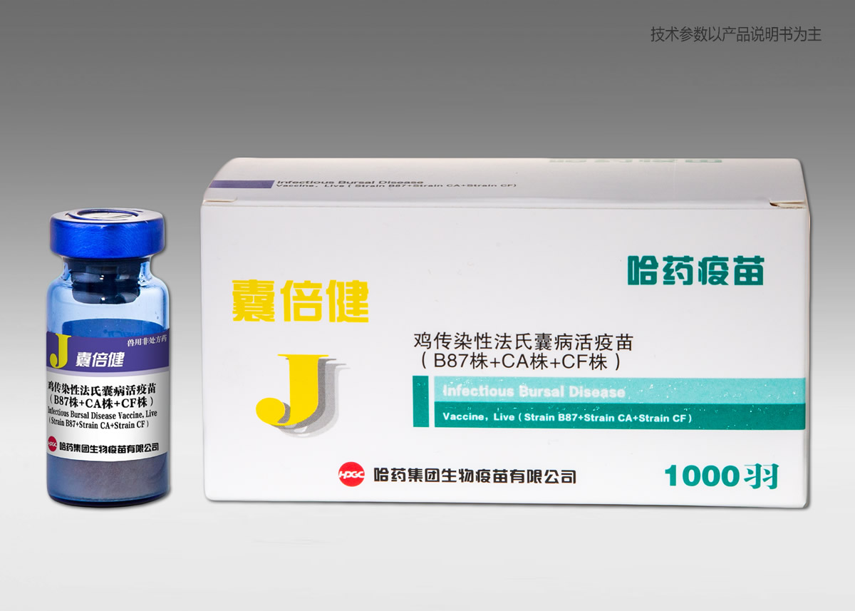 uȾԷҲ磨B87+CA+CF꣩